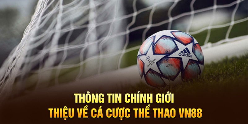 Thông tin chính giới thiệu về cá cược thể thao VN88