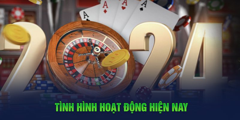 Tình hình hoạt động hiện nay